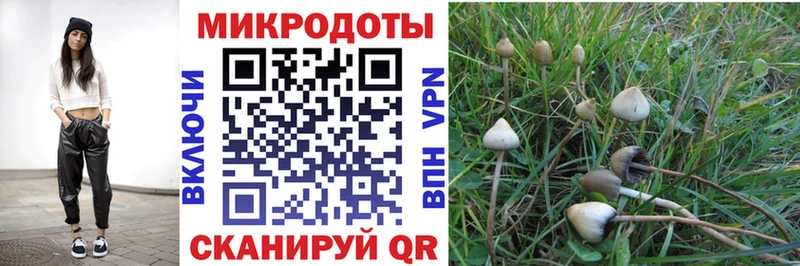 Псилоцибиновые грибы мицелий  Купить где  Кировск 